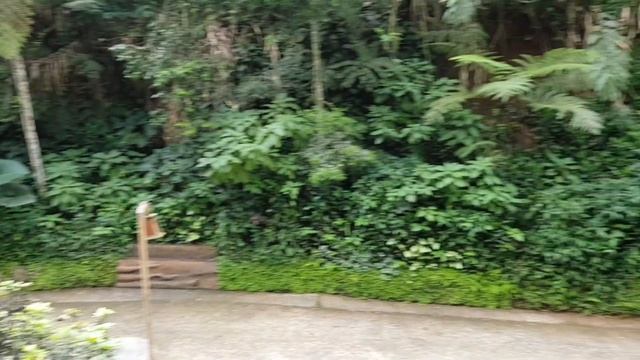 RIVEW TERBARU 2023 || TREE HOUSE NON - SLIDE SAFARI LODGE PUNCAK смотреть онлайн