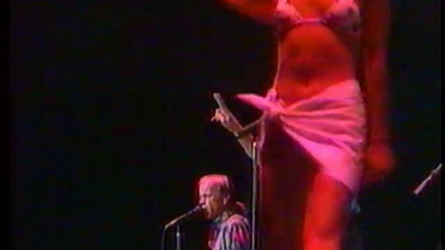 The Beach Boys-Surfin' Safari~Surf City~Surfin' U.S.A.(Live In Japan 1991)
