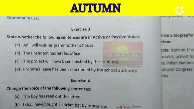 AUTUMN /CLASS -9/LESSON -3/PART -2/SOLVED ALL QUESTION ANSWER. смотреть онлайн