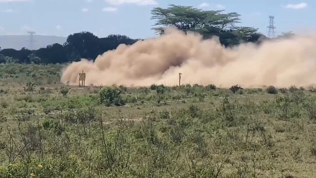 WRC SAFARI RALLY 2024#kenya#wrcrally #wrc2024 #kenya#treandingvideo #treading #new#safarirallykenya смотреть онлайн