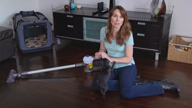 Pet friendly travel to Lilydale, dog training tips and health advice | S5 Full Ep6 | Pooches at Pla смотреть онлайн