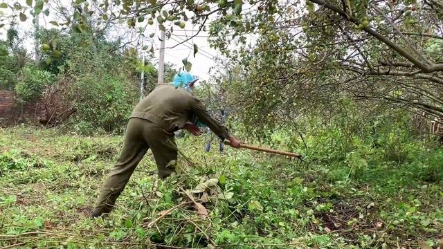 See how we CLEAN UP TRANSFORM this abandoned house | Grass Disaster Recovery Free Garbage Collectio смотреть онлайн