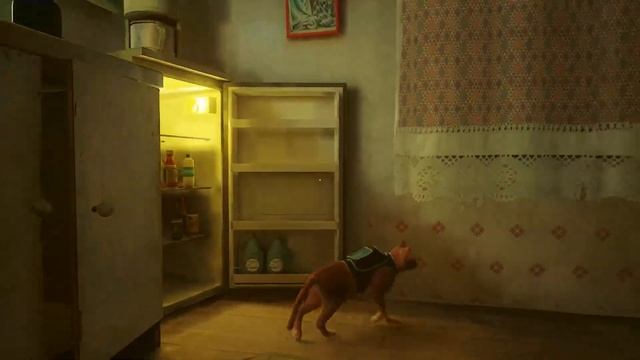 Stray part 1 смотреть онлайн