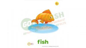 Từ vựng Unit 6 - Super Safari 1