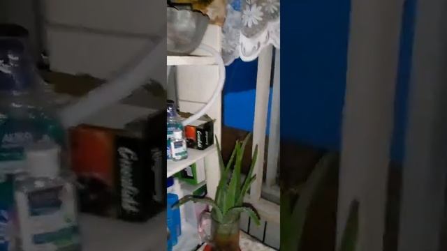 обзор кухни где я кушаю с кошками тиша и пуша смотреть онлайн