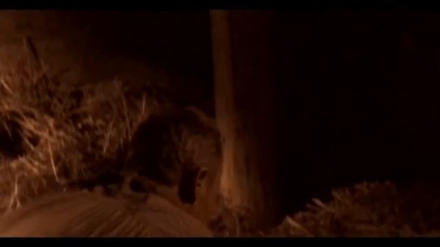 Dead Mans Gun Sea 01 Epis 09 The Healer смотреть онлайн