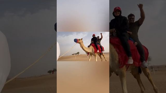AL-AIN DESERT SAFARI//AL FAQA DESERT 🏜 🐪 🚗 смотреть онлайн