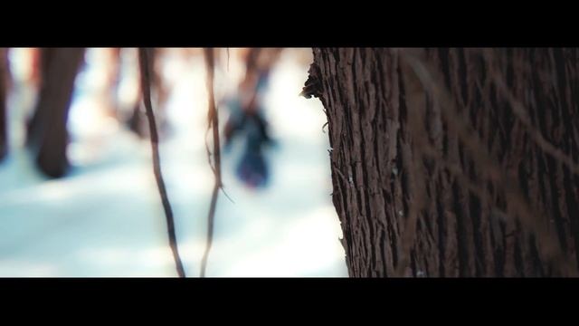 Mimi O'Bonsawin - BRAVE / COURAGE Music Video смотреть онлайн