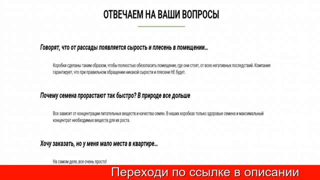 Домашняя Мини Ферма Огурцов