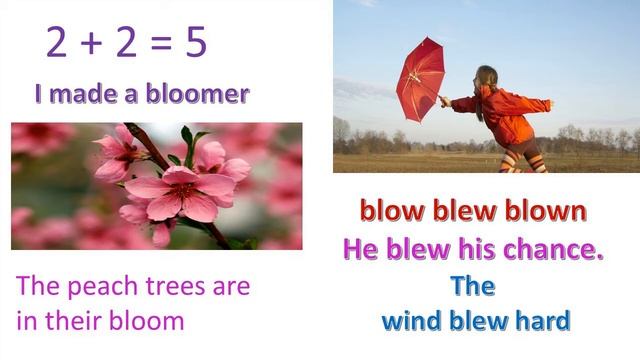 Английский язык bloomer blue смотреть онлайн