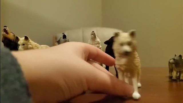 My model wolf collection смотреть онлайн