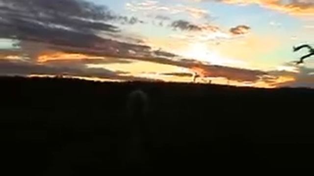 Sonnenuntergang auf Ondekaremba смотреть онлайн