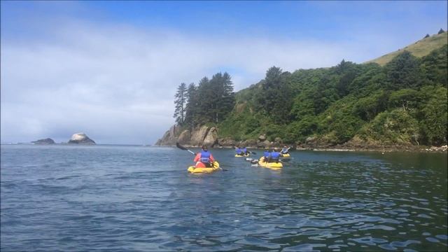 Safari Town Kayak Tours Lincoln City 2018
