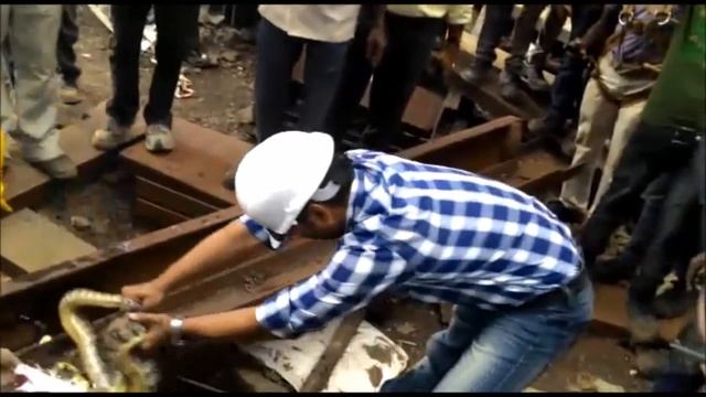 Brave Engineer leads a Python Resque Opearation at Site смотреть онлайн