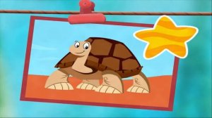 Bubble Guppies Animal School Day