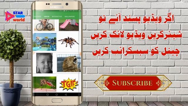 Features oF Whatsbox .Full Privacy .Security .Space Saver .Status Copier .tricks and tips in Urdu смотреть онлайн