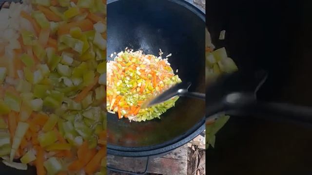 9 ноября 2020 г.(1)