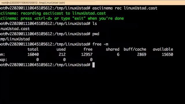 How to Record your Terminal Screen in Linux/Mac/Windows смотреть онлайн