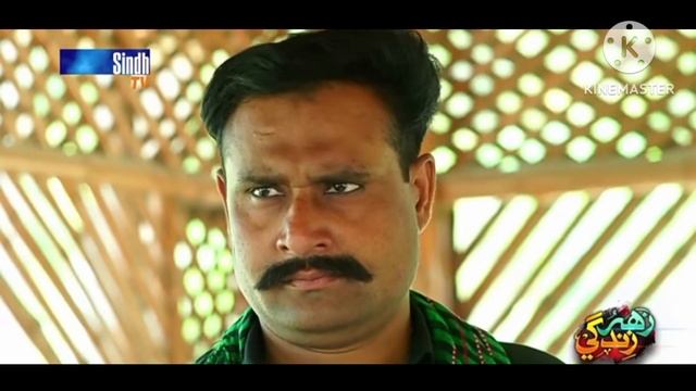 zahar zindagi ep 233 promo soap serial sindh tv HD Drama смотреть онлайн
