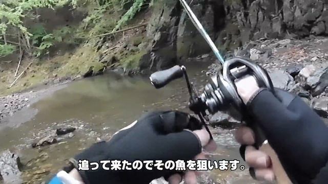 【渓流ベイト】SLX BFSを渓流で使ってみた