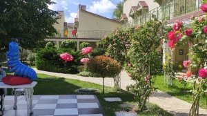 Алеан Довиль 5* 🏝️ Анапа 2024