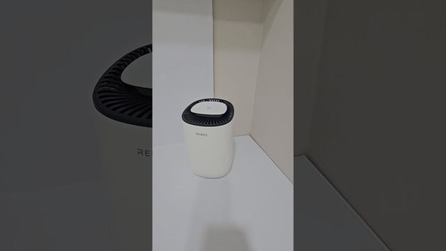 11 августа 2024 г. смотреть онлайн