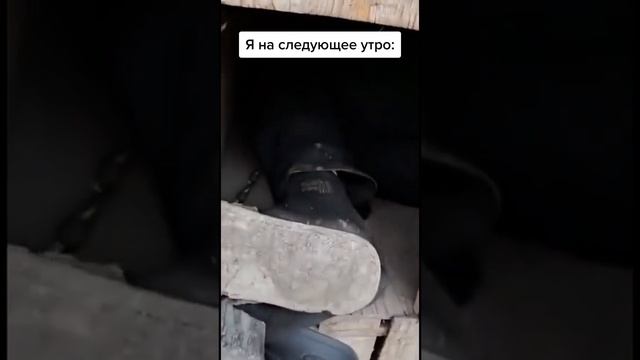 Решаю что буду жить отдельно от родителей #юмор #приколы #шутки #смешно #смех смотреть онлайн