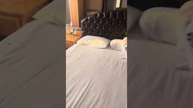 UTOPIA WORLD HOTEL номер Corner Suites 4009 #travel #turkey #utopiaworld