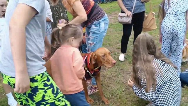 День Строителя 2024г. Юбилейный парк г. Ярославль смотреть онлайн