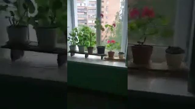 Посуточно. 2х-комнатная квартира. улица Шаляпина, д. 16. смотреть онлайн