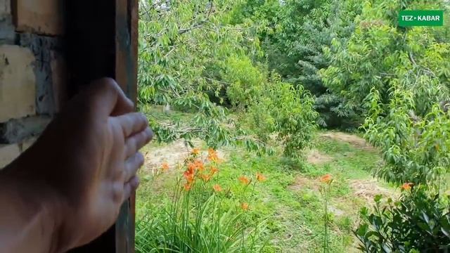 Кокуууй! | 8 соток өтө сонун ЖЕР сатылат | Бак-дарак, Курулуш, Ашыкча жери да бар смотреть онлайн