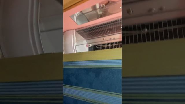 Сдаю квартиру в Республике Карелия город Сегежа. ул. проезд Бумажников 10а. кв 1 смотреть онлайн