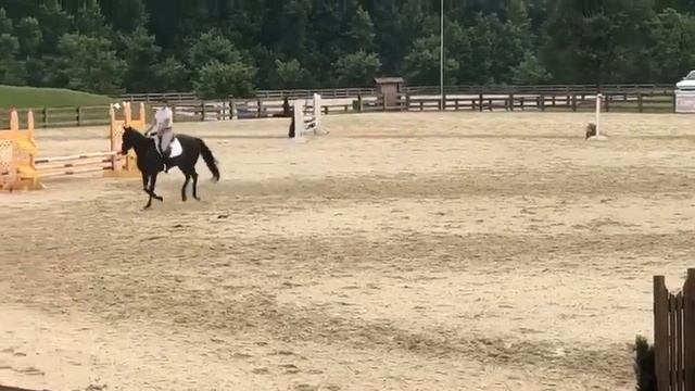 Leo SJ Chatt