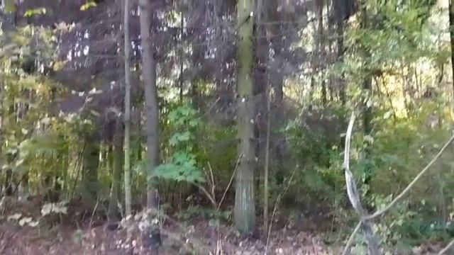 Деревенский дневник очень многодетной мамы. Обзор стрима. смотреть онлайн