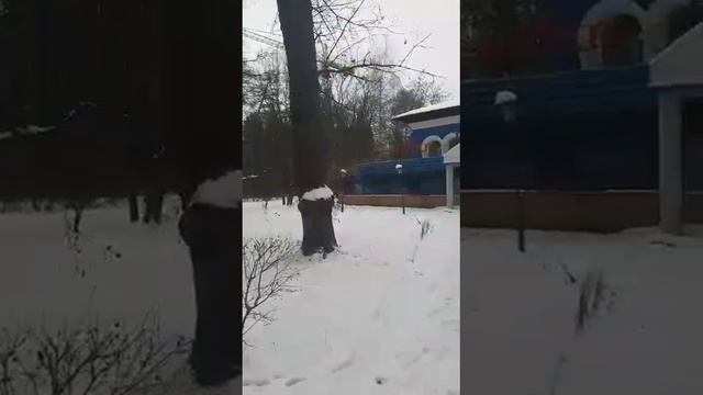 Москва, Песочная аллея, 5 смотреть онлайн