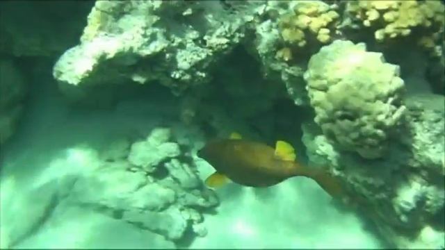 Divecity 2    Part 2