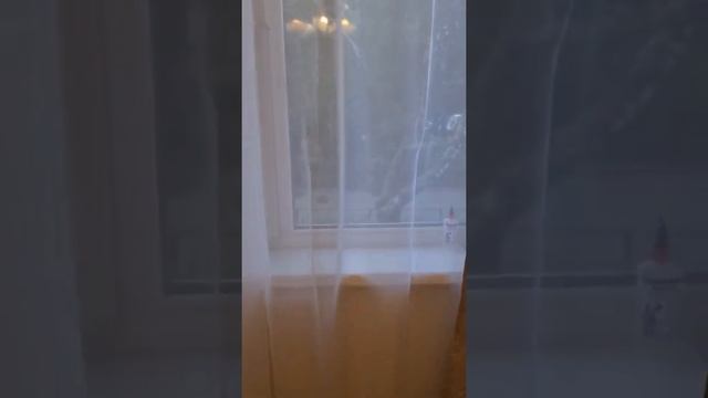 Краснодонская 42 готовая студия с ремонтом и мебелью. смотреть онлайн