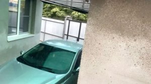 Как избавиться от пауков во дворе частного дома? Проверенный и надёжный способ!