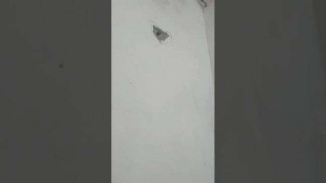 Соседи ремонт делают смотреть онлайн