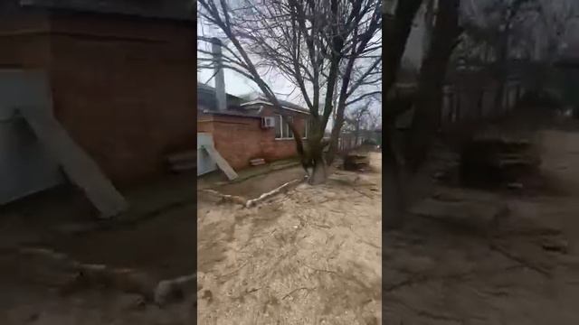 Дом ст. Камышеватская, 1, 300 т.р. смотреть онлайн