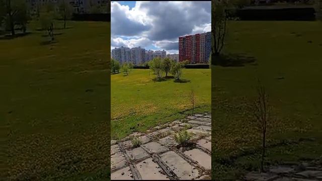 Серёже инвалиду нашему подопечному дали квартиру в Ватутинках. Мы лучшие! #русскаяберёза смотреть онлайн
