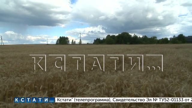 380 миллионов рублей составят инвестиции в строительство нового животноводческого комплекса в Шаран