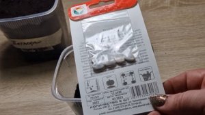 Как сажать семена тыквы на рассаду. Как сажать тыкву