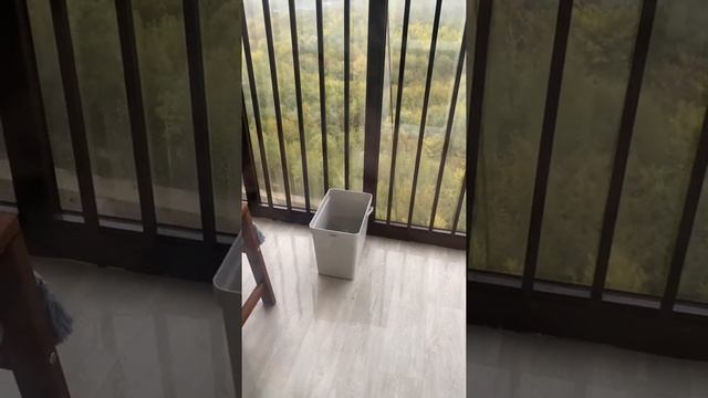 Инград. ЖК Лесопарковый. 20 сентября 2021 г. #инград #жклесопарковый