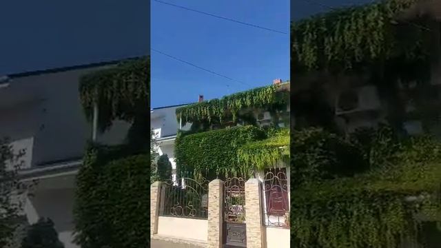 РИЭЛТОР#СВЕТЛАНАБЕЛОУСОВА#т.8-913-813-7797#АНАПА#НОВОСТОЙКИ#ВТОРИЧКА#КВАРТИРА#НЕДВИЖИМОСТЬ смотреть онлайн