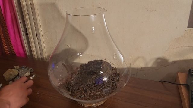 Fat Bottom Vase build смотреть онлайн