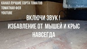 Звук от мышей и крыс Ультразвук от мышей и крыс Избавьтесь навсегда от мышей и крыс