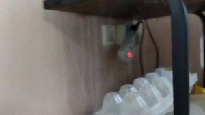 Холодильник Атлант не работает холодильная камера, а морозилка работает