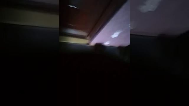 иду от магазина до дома а также показываю свою квартиру смотреть онлайн