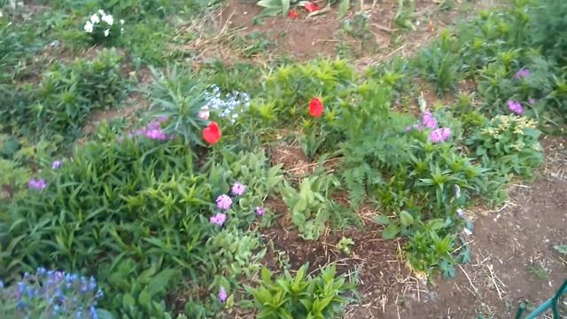 Копинский ж. масс КРАСИВО ЖИТЬ НАДО Так!!!!!!!!!!!!!!!!🎇🎆 смотреть онлайн